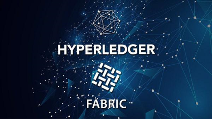 Hyperledger Fabric 2.x Java区块链应用